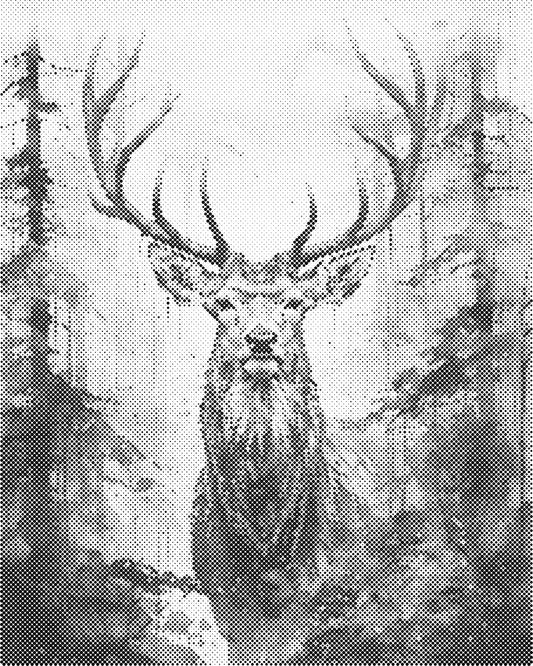 DOT Painting 40x50cm - Dierenmotief - Één Kleur Stippen - stippelschilderij - Rendier