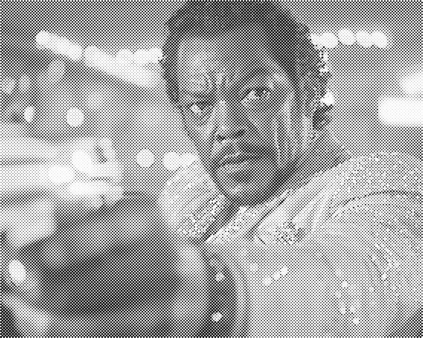 DOT Painting Portret – Stippenkunst op Canvas (40x50cm of 60x75cm)