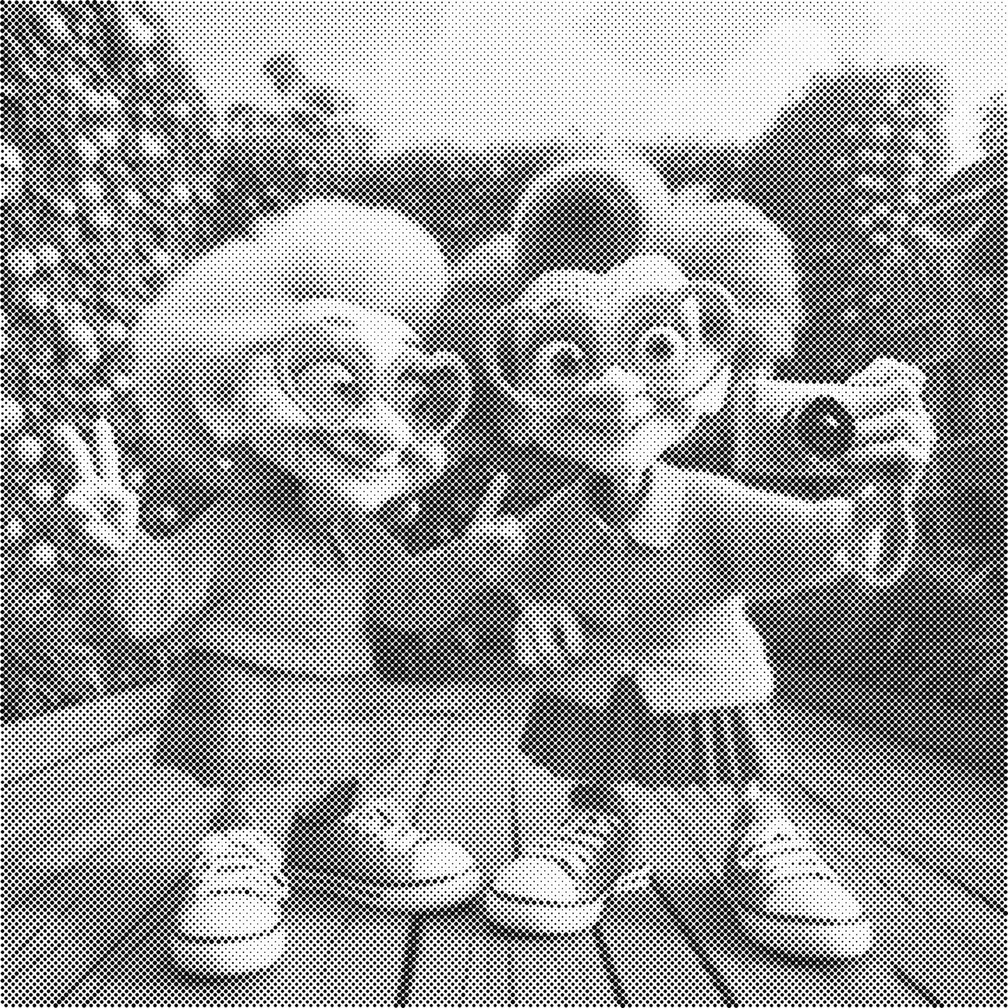 DOT Painting - Gekke Oma's (40x40cm t/m 60x60cm) – Met of zonder stiften