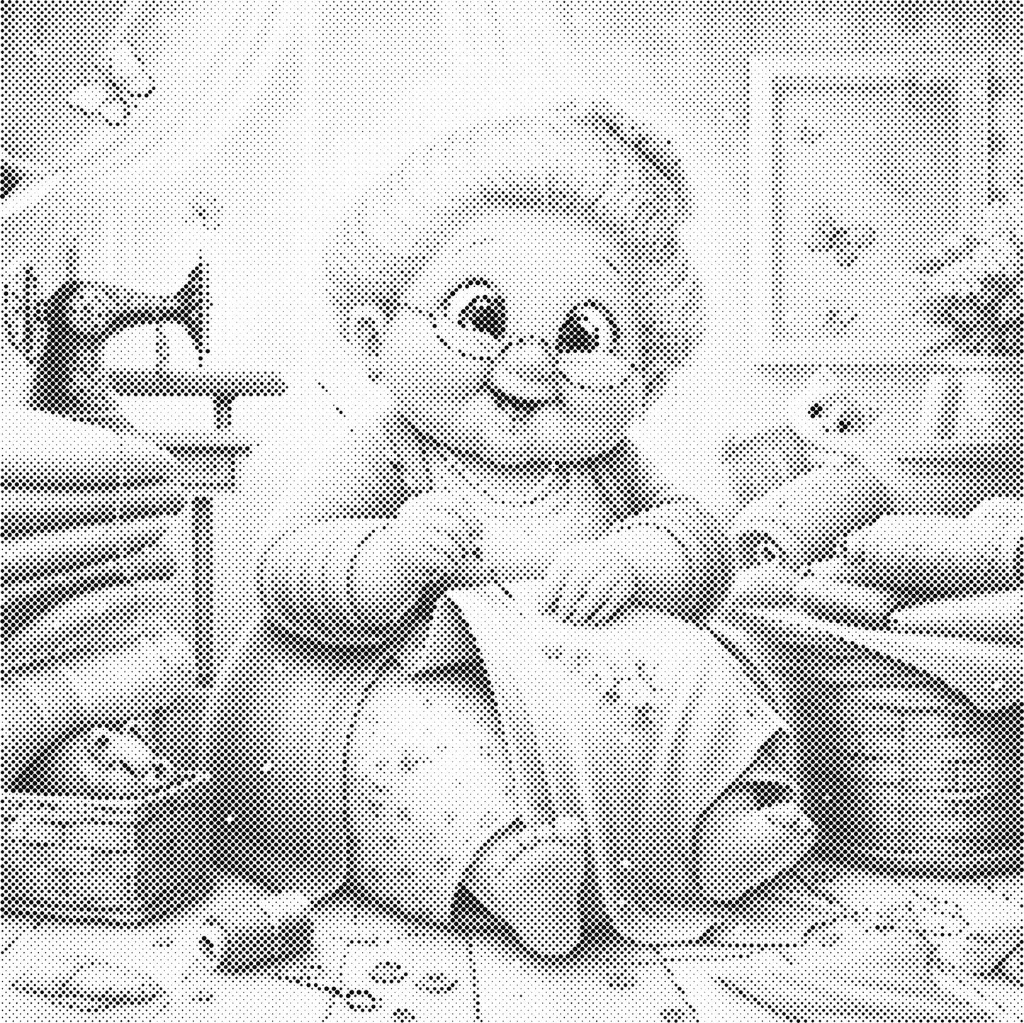 DOT Painting - Gekke Oma's (40x40cm t/m 60x60cm) – Met of zonder stiften