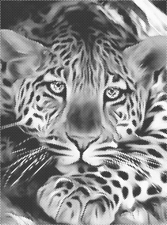 DOT Painting Dieren 30x40cm - 1 kleur stippen - stippelschilderij - Luipaard