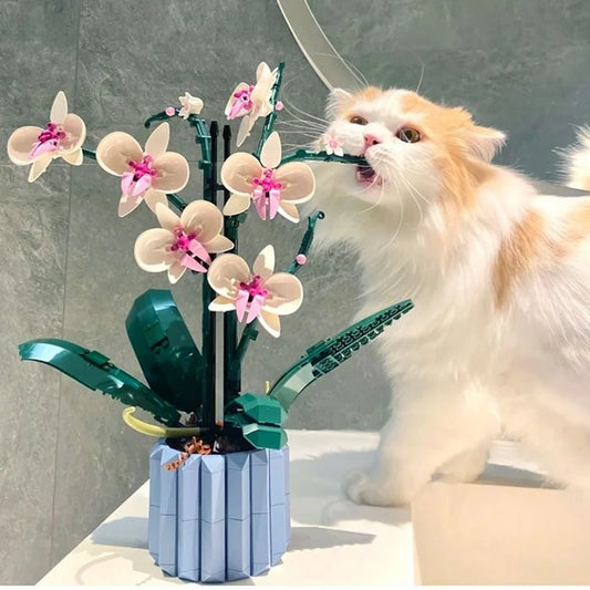 Bouwpakket Orchidee Boeket – Bloemen Bonsai