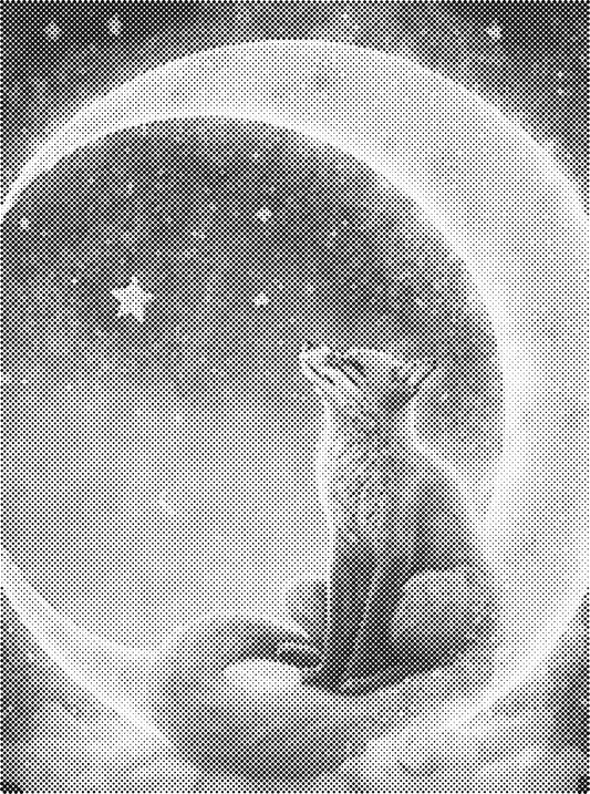 DOT Painting Dieren 30x40cm - 1 kleur stippen - stippelschilderij - Vosje