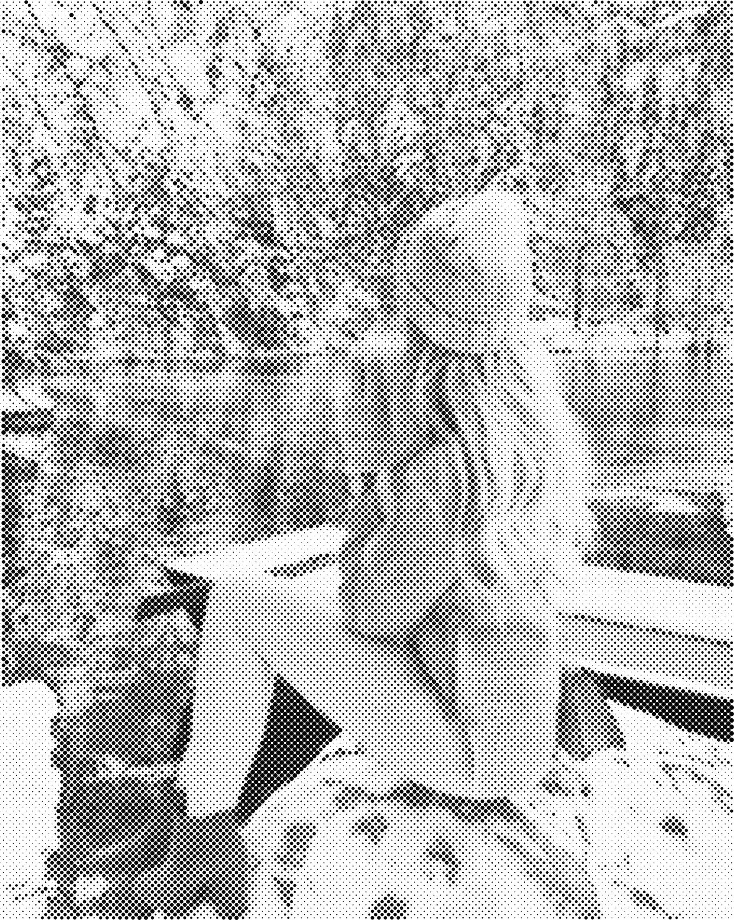 DOT Painting – Vrouwen | 40x50cm of 60x75cm