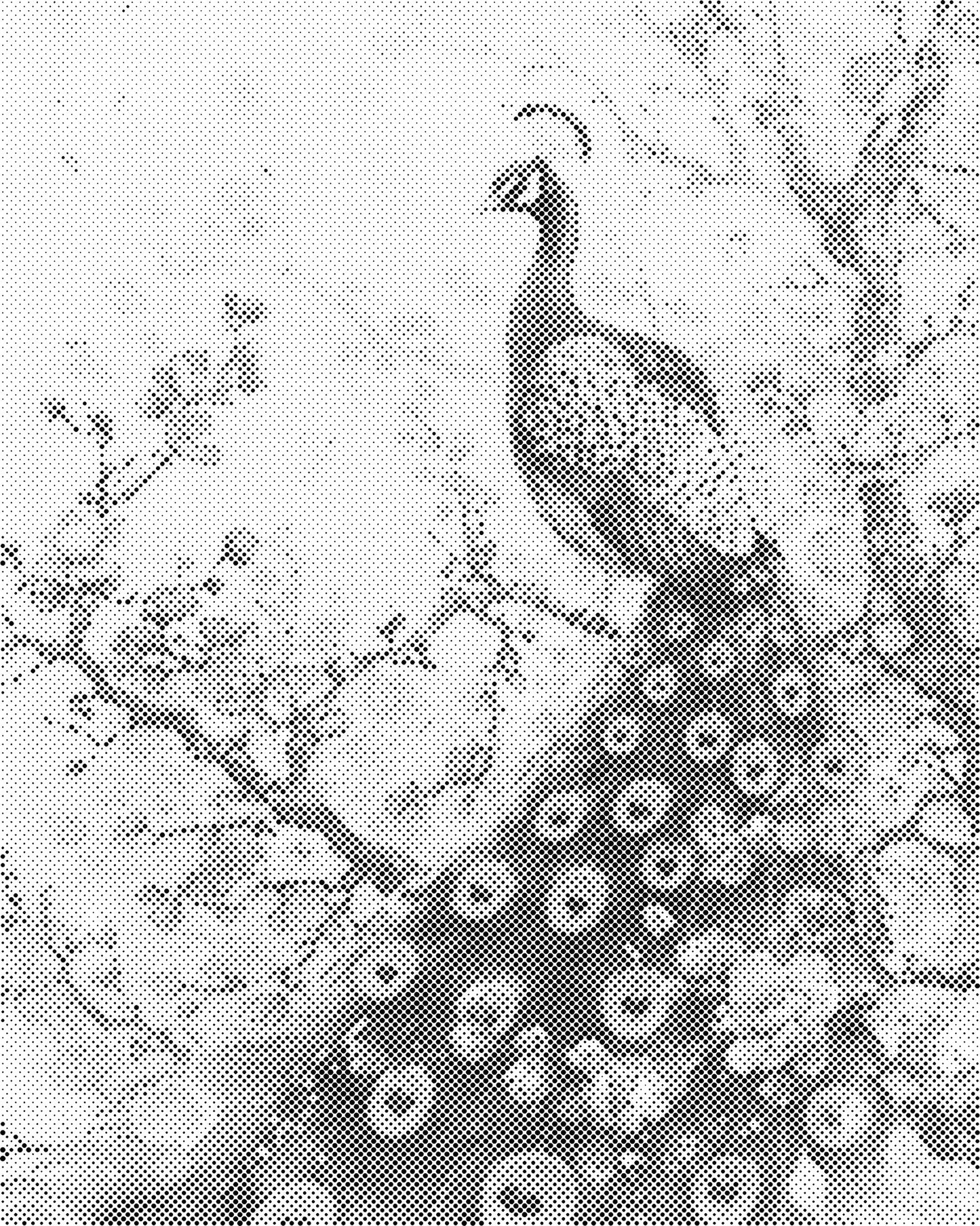 DOT Painting – Dieren op Canvas (40x50cm of 60x75cm) – Met of zonder stiften