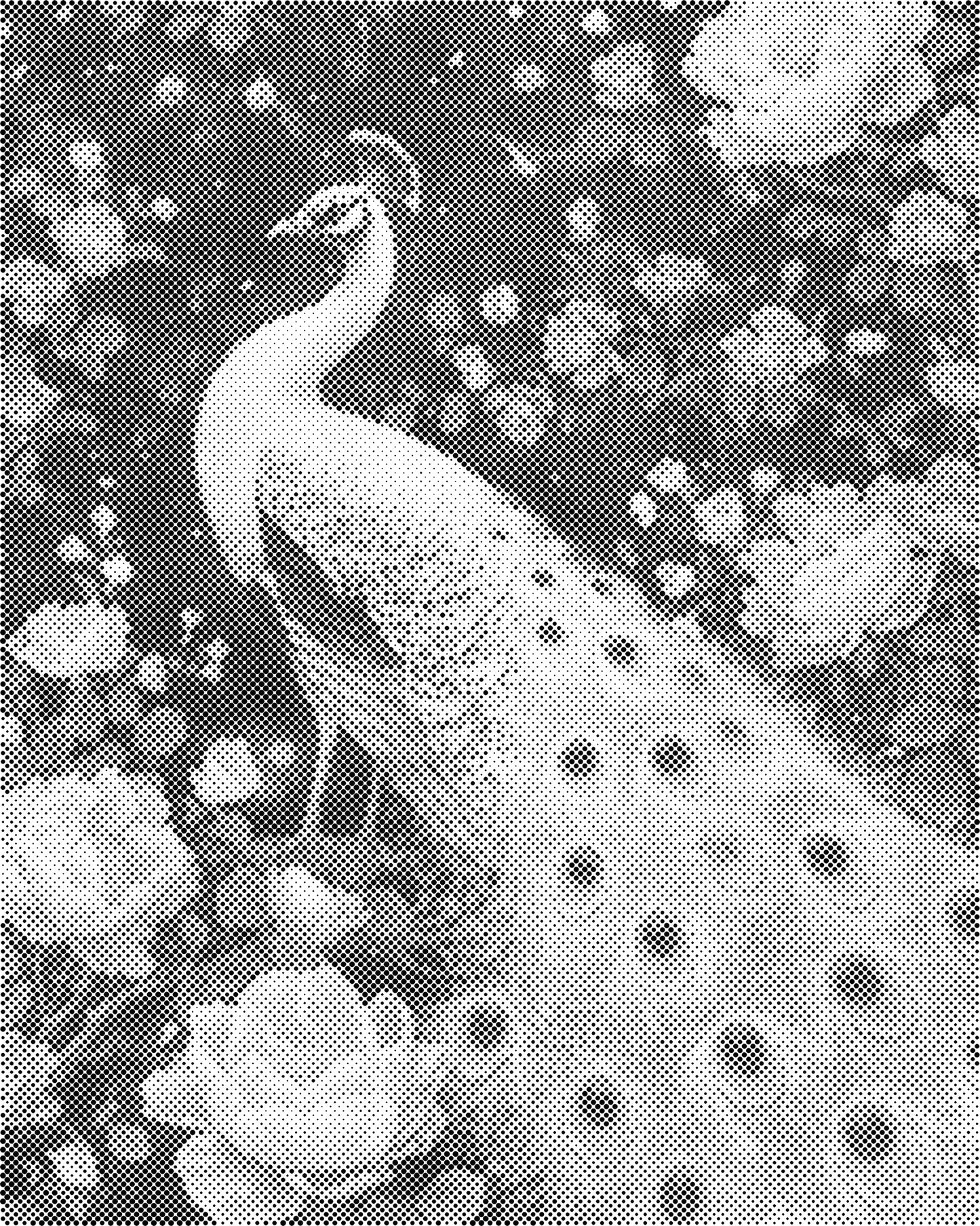 DOT Painting – Dieren op Canvas (40x50cm of 60x75cm) – Met of zonder stiften