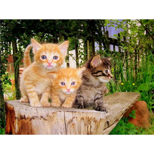 Diamond Painting Dieren - Kat met bloemen landschap wanddecoratie - DZDP32711