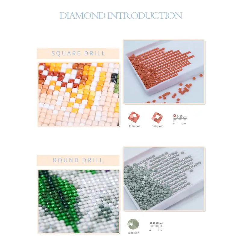 Diamond Painting Dieren - Kat met bloemen landschap wanddecoratie - DZDP32709