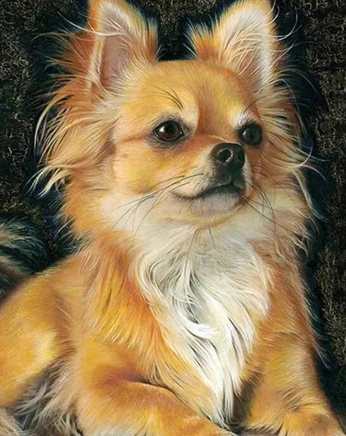 AB Diamond Painting met Fairy dust steentjes Chihuahua