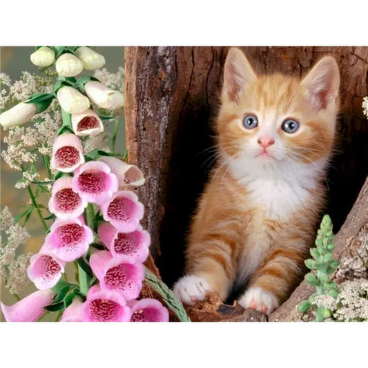 Diamond Painting Dieren - Kat met bloemen landschap wanddecoratie - DZDP32699