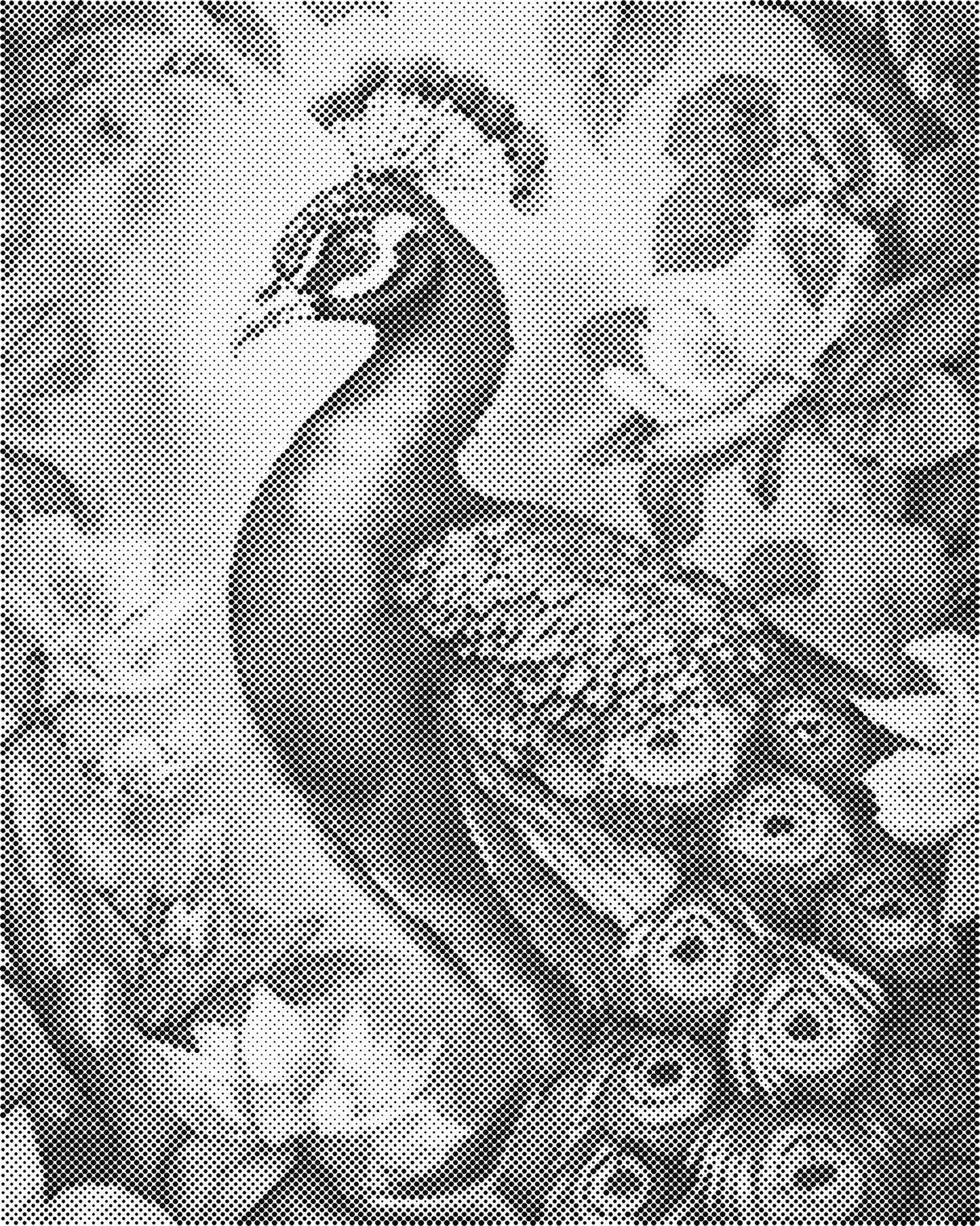 DOT Painting – Dieren op Canvas (40x50cm of 60x75cm) – Met of zonder stiften