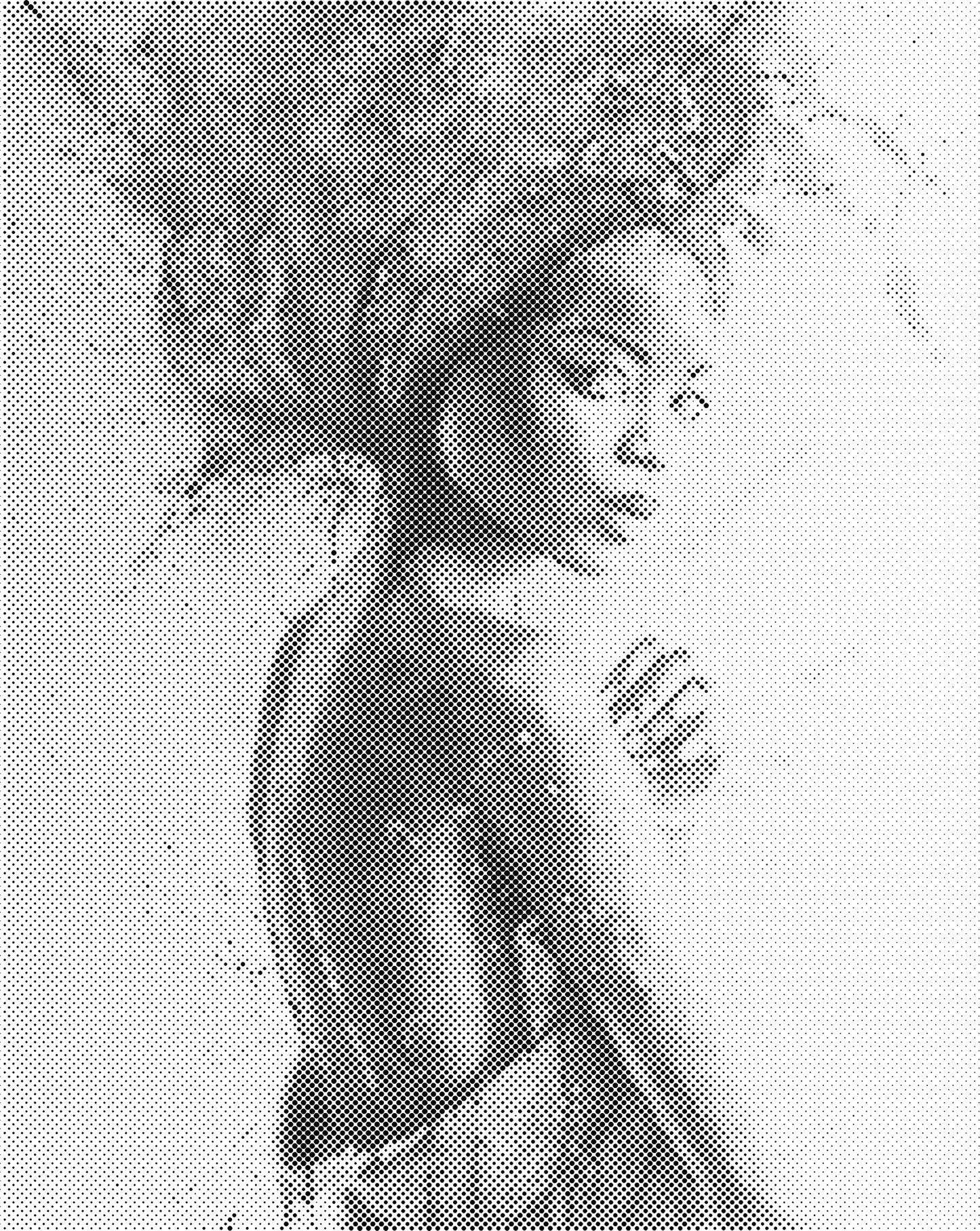 DOT Painting – Vrouwen | 40x50cm of 60x75cm