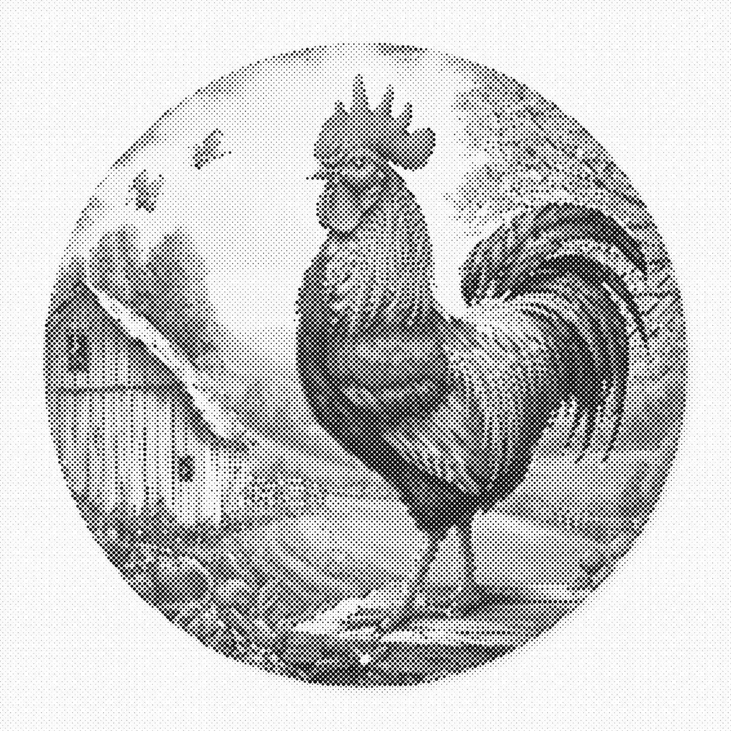 DOT Painting – Kippen & Hanen (40x40cm, 50x50cm of 60x60cm)