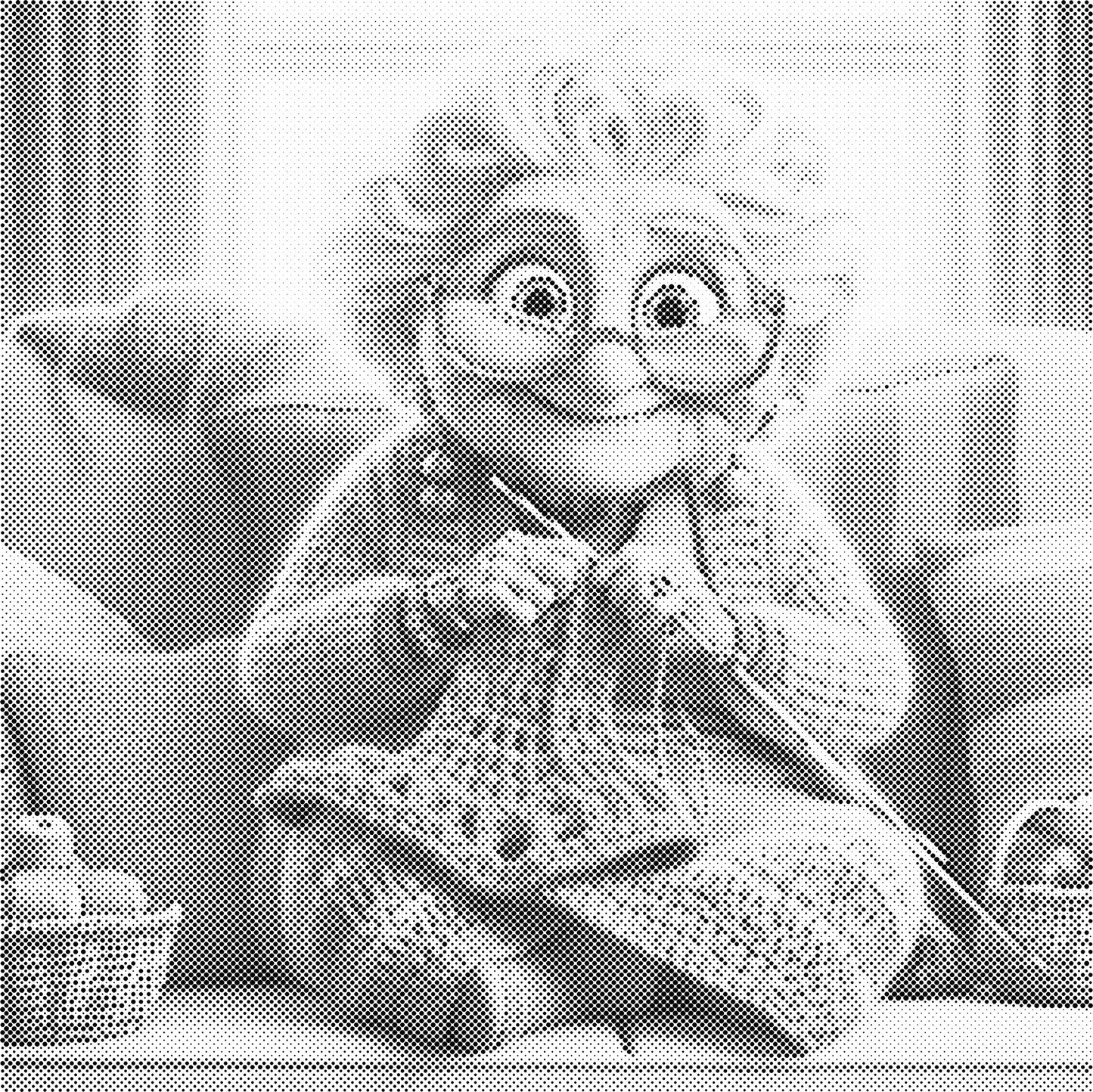 DOT Painting - Gekke Oma's (40x40cm t/m 60x60cm) – Met of zonder stiften