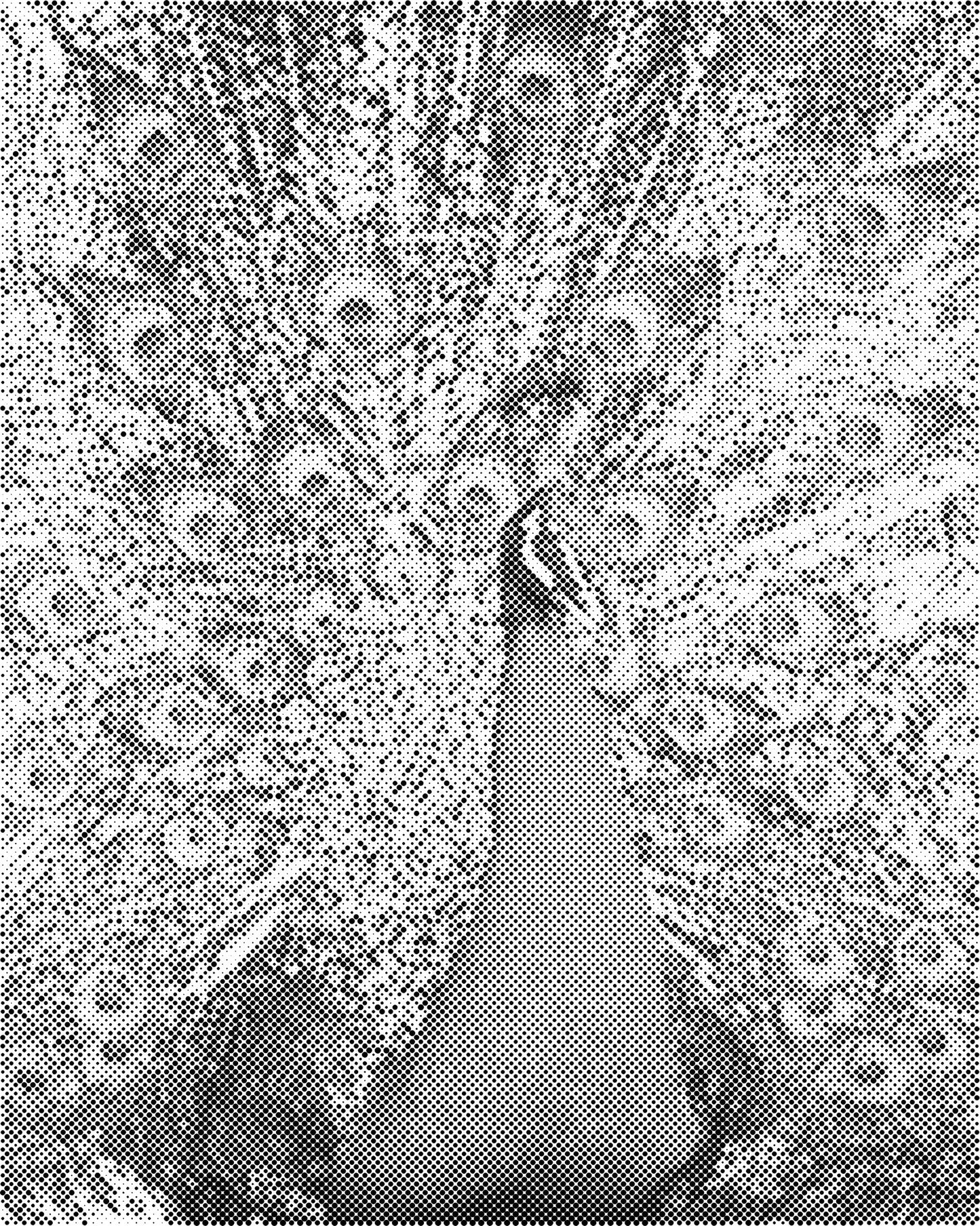 DOT Painting – Dieren op Canvas (40x50cm of 60x75cm) – Met of zonder stiften