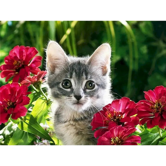 Diamond Painting Dieren - Kat met bloemen landschap wanddecoratie - DZDP32703