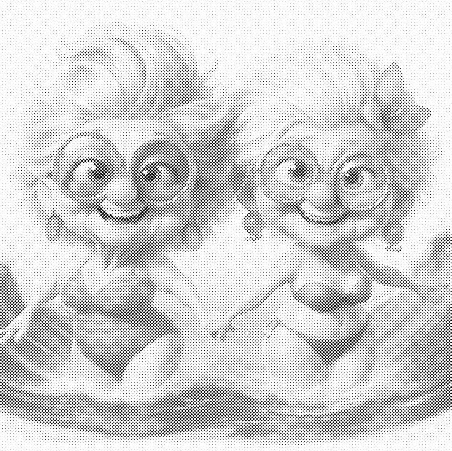 DOT Painting - Gekke Oma's (40x40cm t/m 60x60cm) – Met of zonder stiften