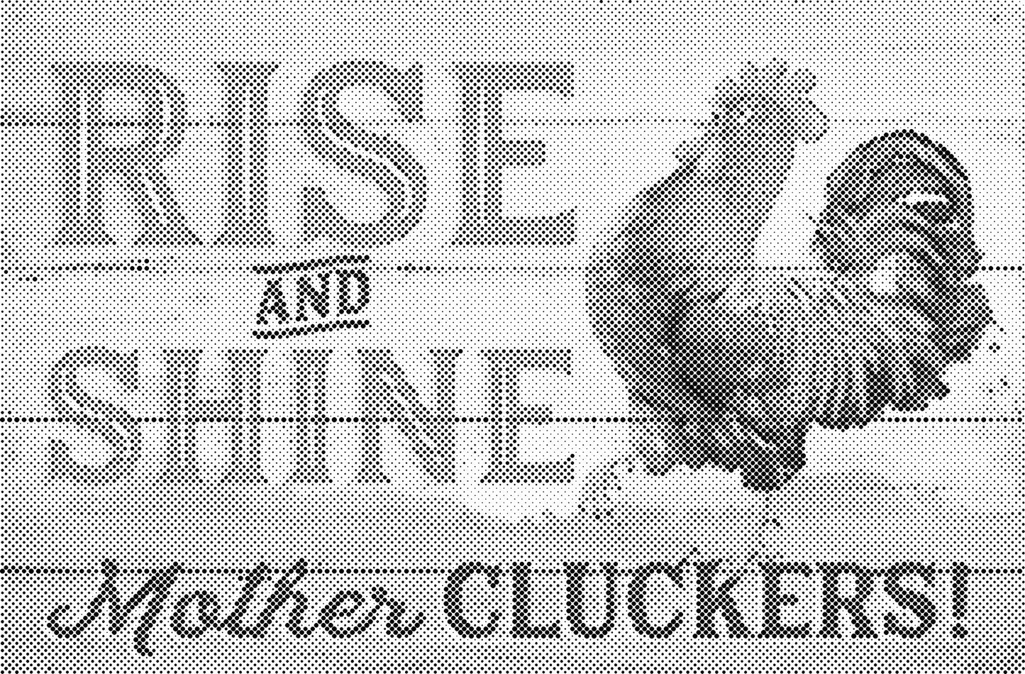 DOT Painting – Kippen & Hanen – 40x60cm t/m 60x90cm – Met of zonder stiften