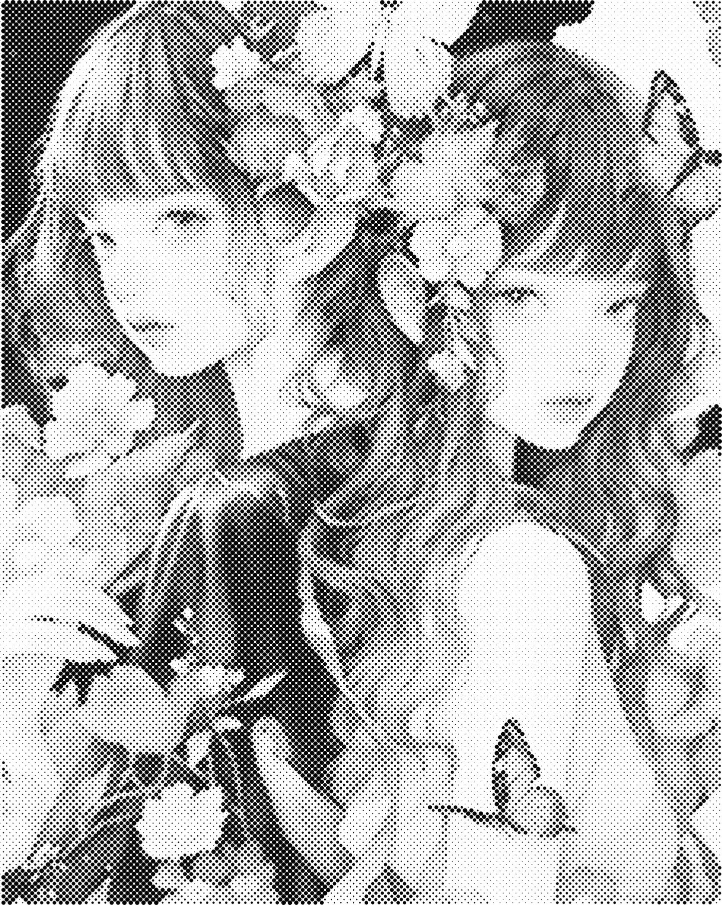 DOT Painting – Vrouwen | 40x50cm of 60x75cm