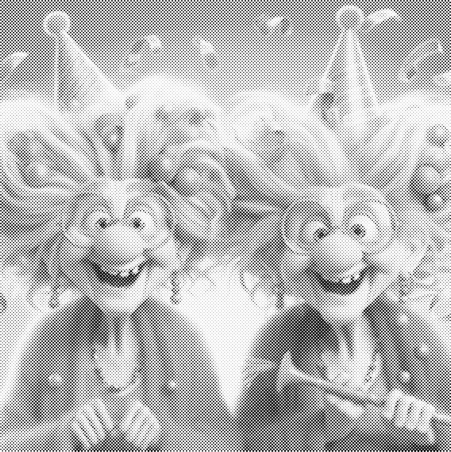 DOT Painting - Gekke Oma's (40x40cm t/m 60x60cm) – Met of zonder stiften