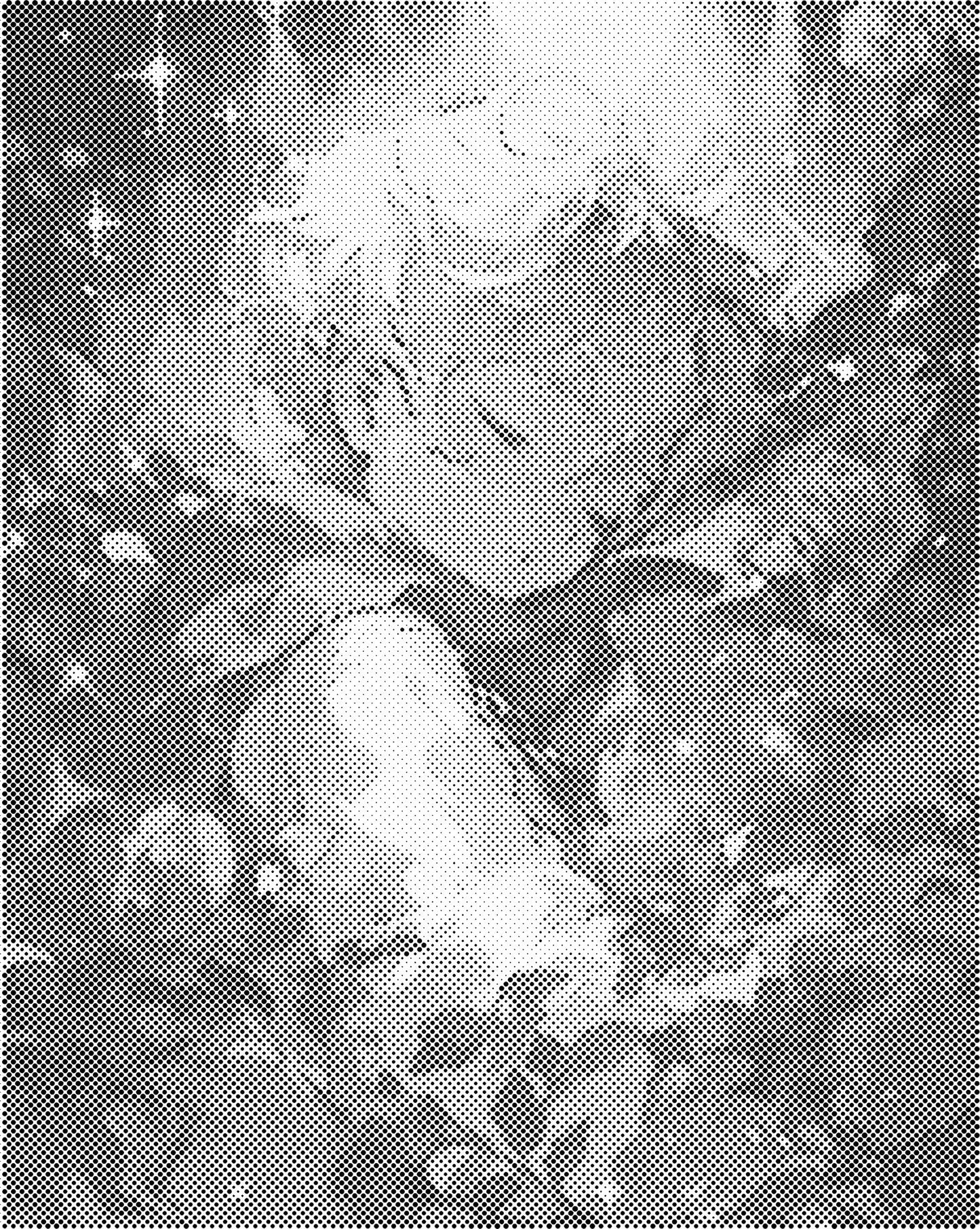 DOT Painting – Vrouwen | 40x50cm of 60x75cm