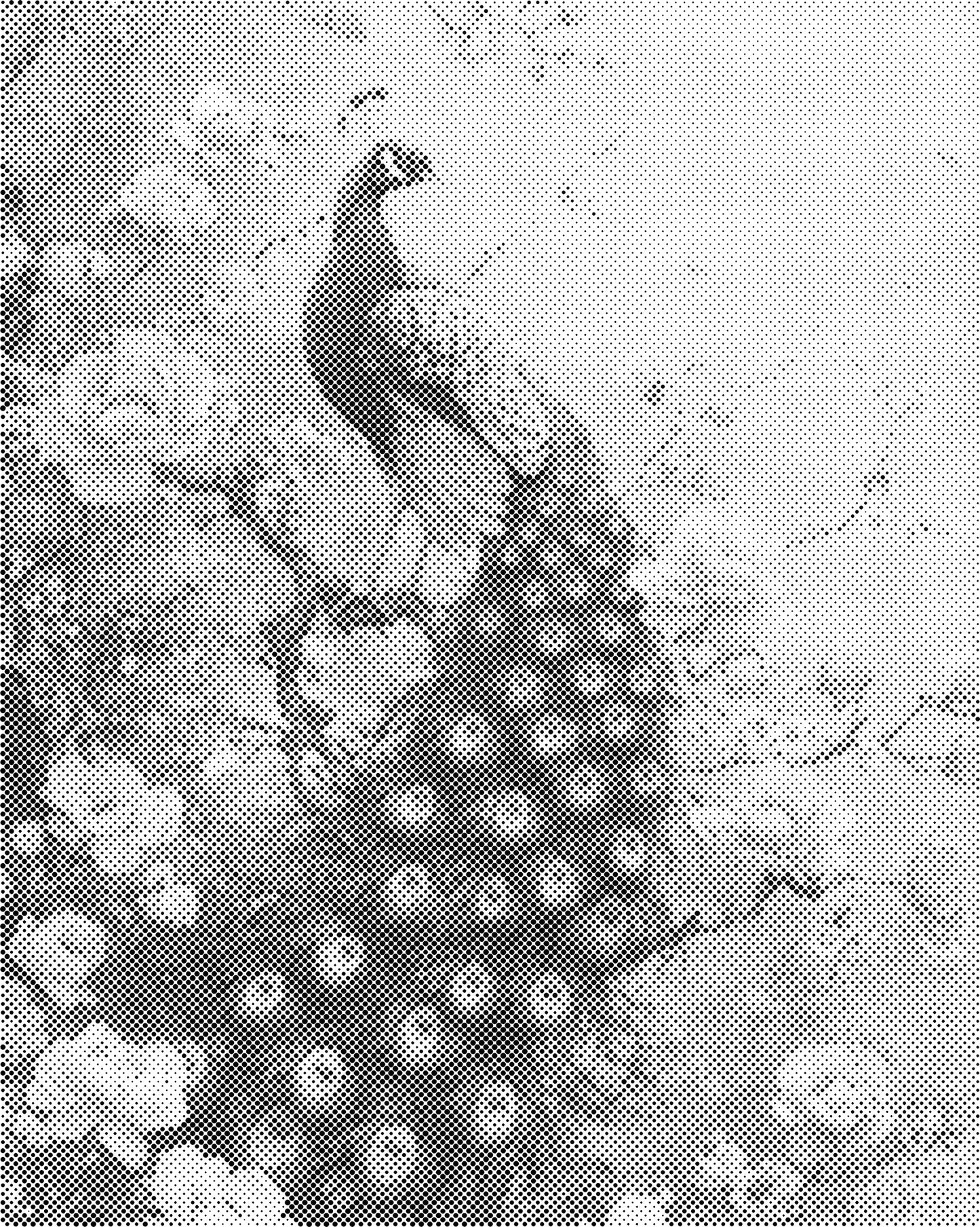 DOT Painting – Dieren op Canvas (40x50cm of 60x75cm) – Met of zonder stiften