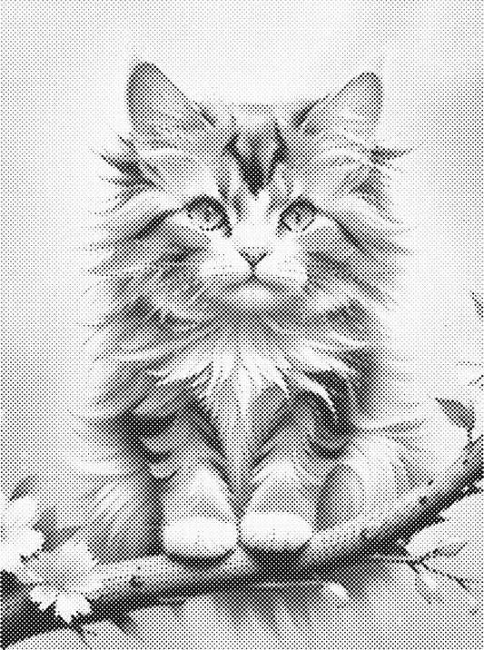 DOT Painting Dieren 30x40cm - 1 kleur stippen - stippelschilderij - Kitten