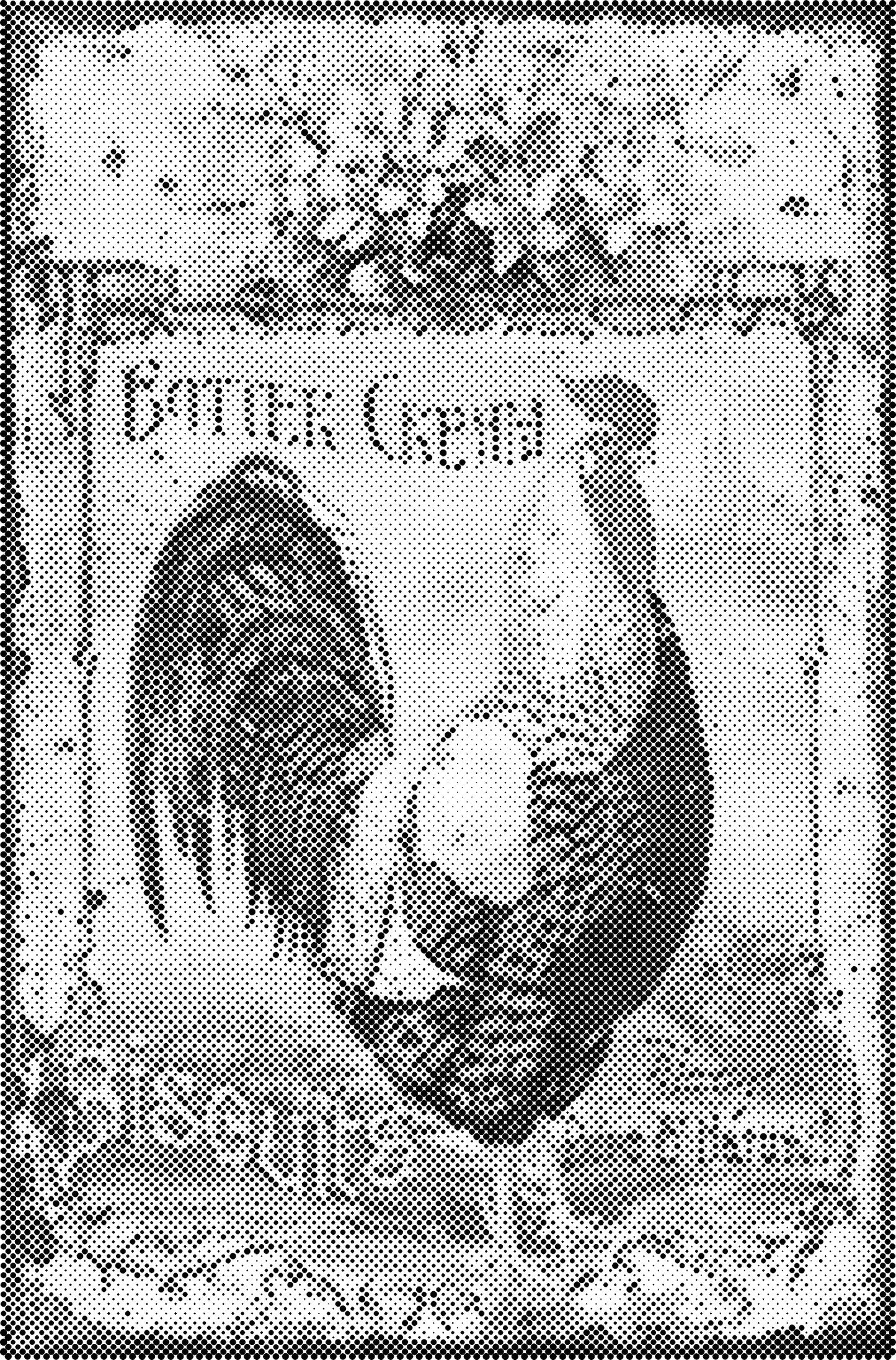 DOT Painting – Kippen & Hanen – 40x60cm t/m 60x90cm – Met of zonder stiften