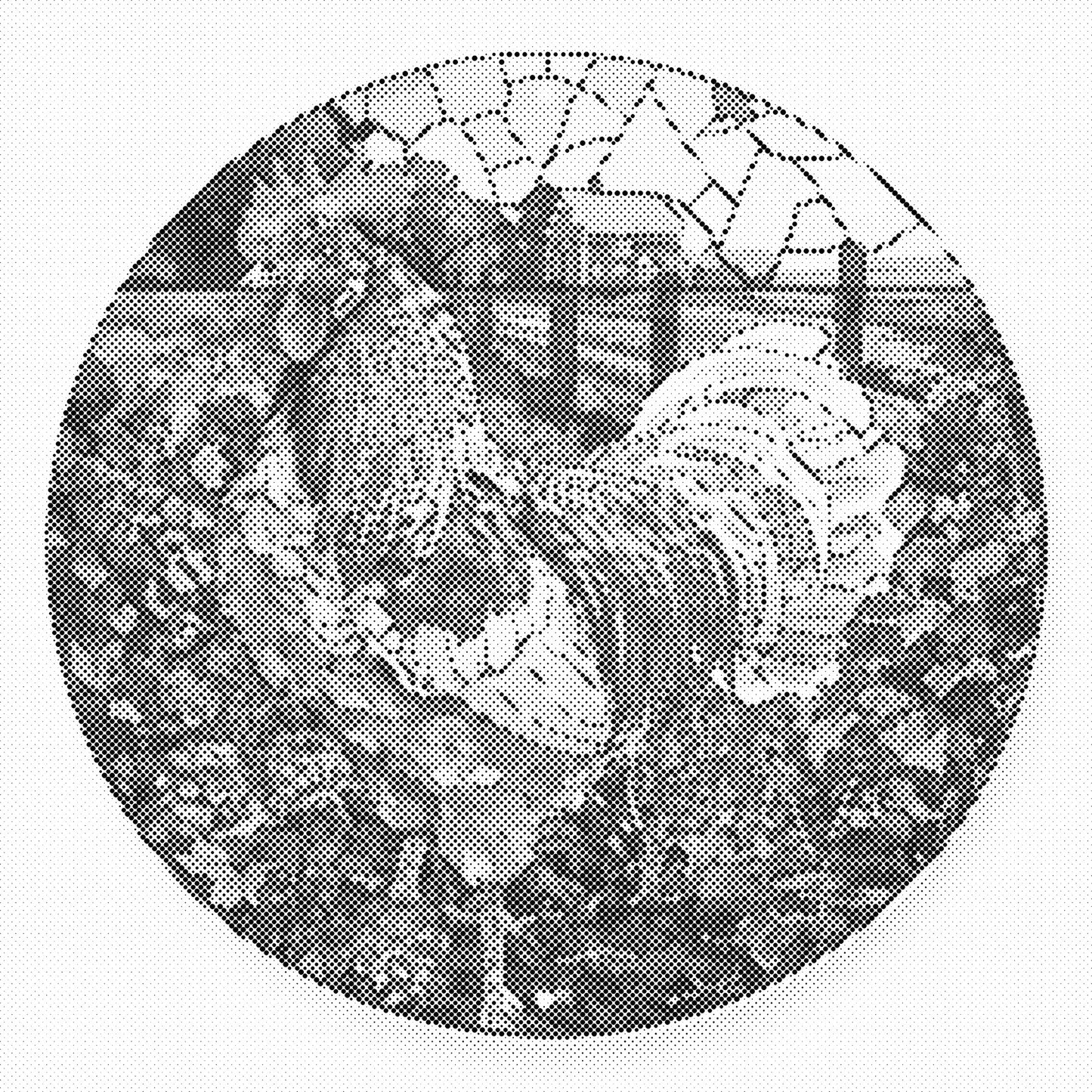 DOT Painting – Kippen & Hanen (40x40cm, 50x50cm of 60x60cm)