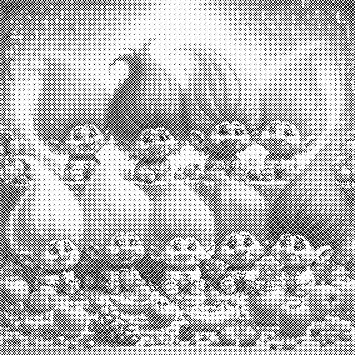 DOT Painting - Gekke Oma's (40x40cm t/m 60x60cm) – Met of zonder stiften