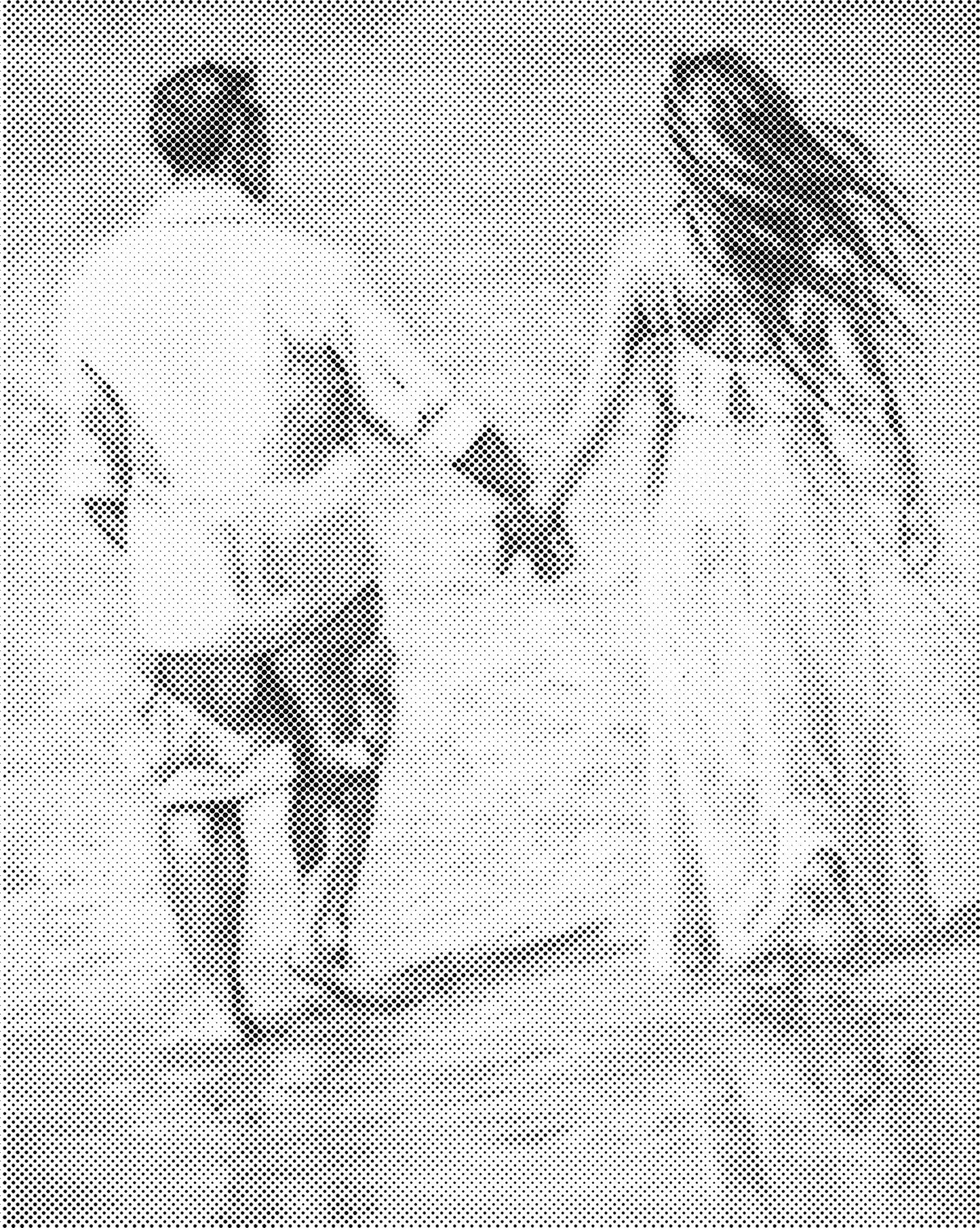 DOT Painting – Vrouwen | 40x50cm of 60x75cm