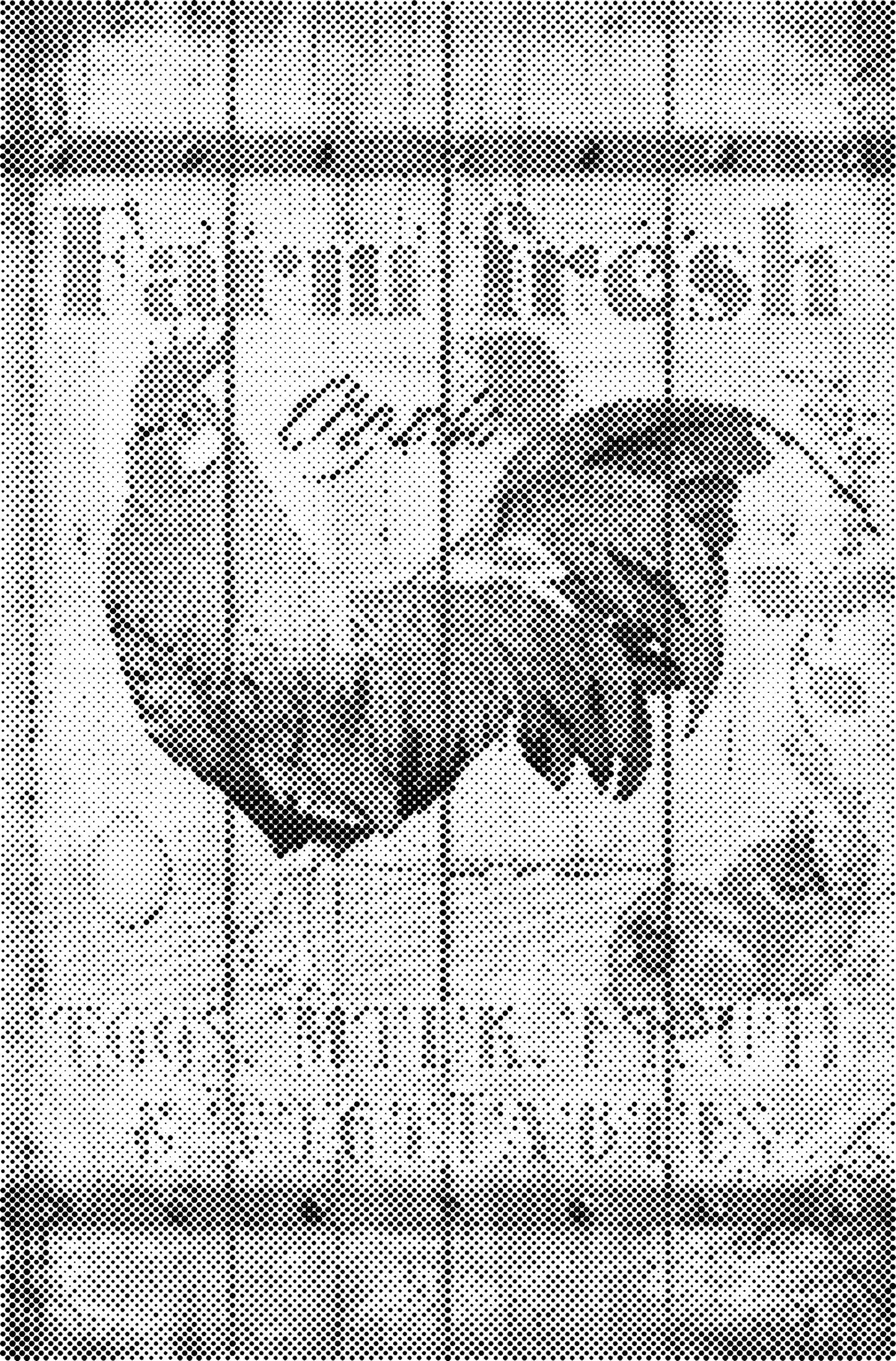 DOT Painting – Kippen & Hanen – 40x60cm t/m 60x90cm – Met of zonder stiften