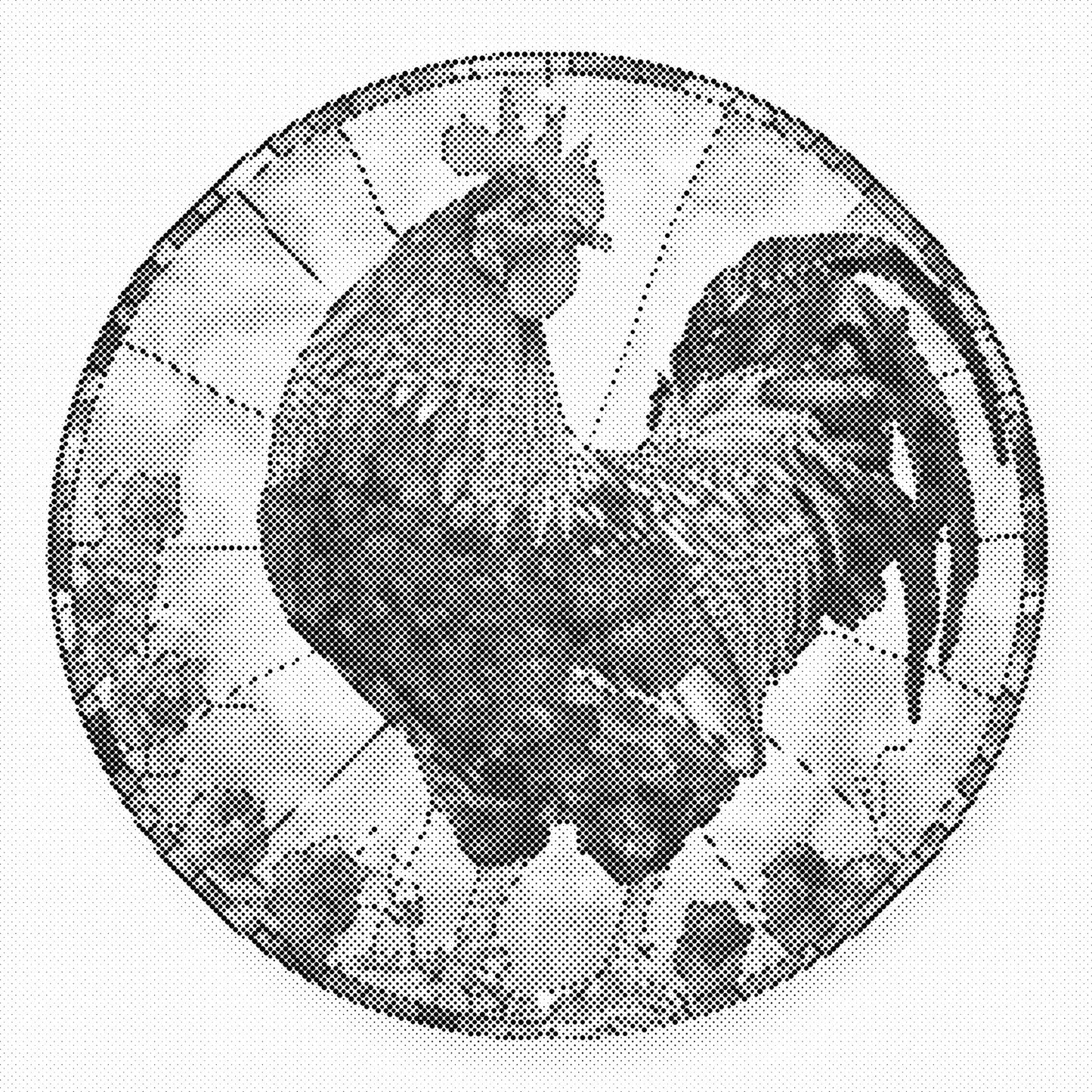 DOT Painting – Kippen & Hanen (40x40cm, 50x50cm of 60x60cm)