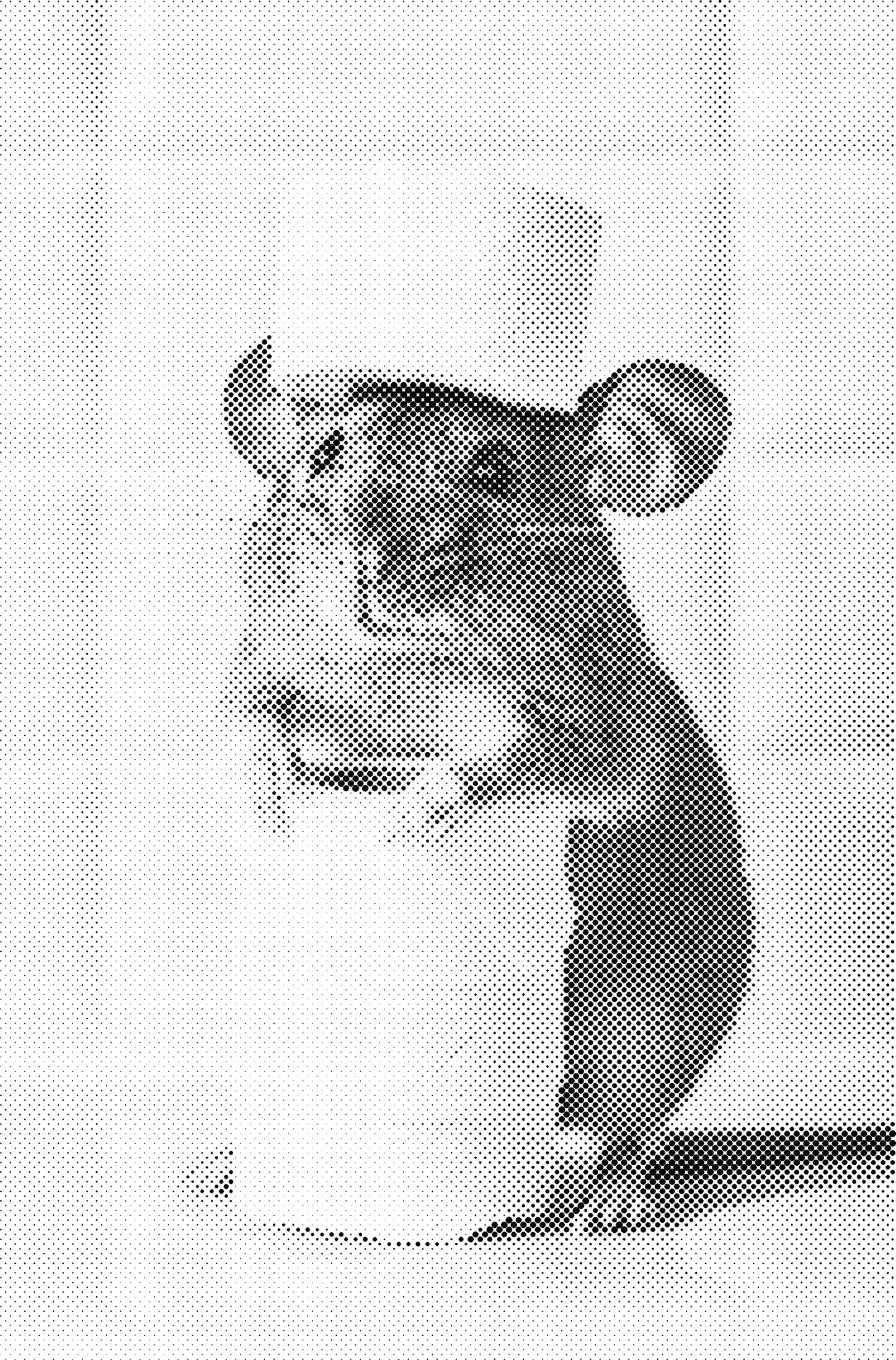 DOT Painting – Dieren in Bad (40x60cm / 50x75cm / 60x90cm)