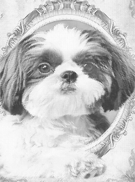 DOT Painting Dieren 30x40cm - 1 kleur stippen - stippelschilderij - Hondje