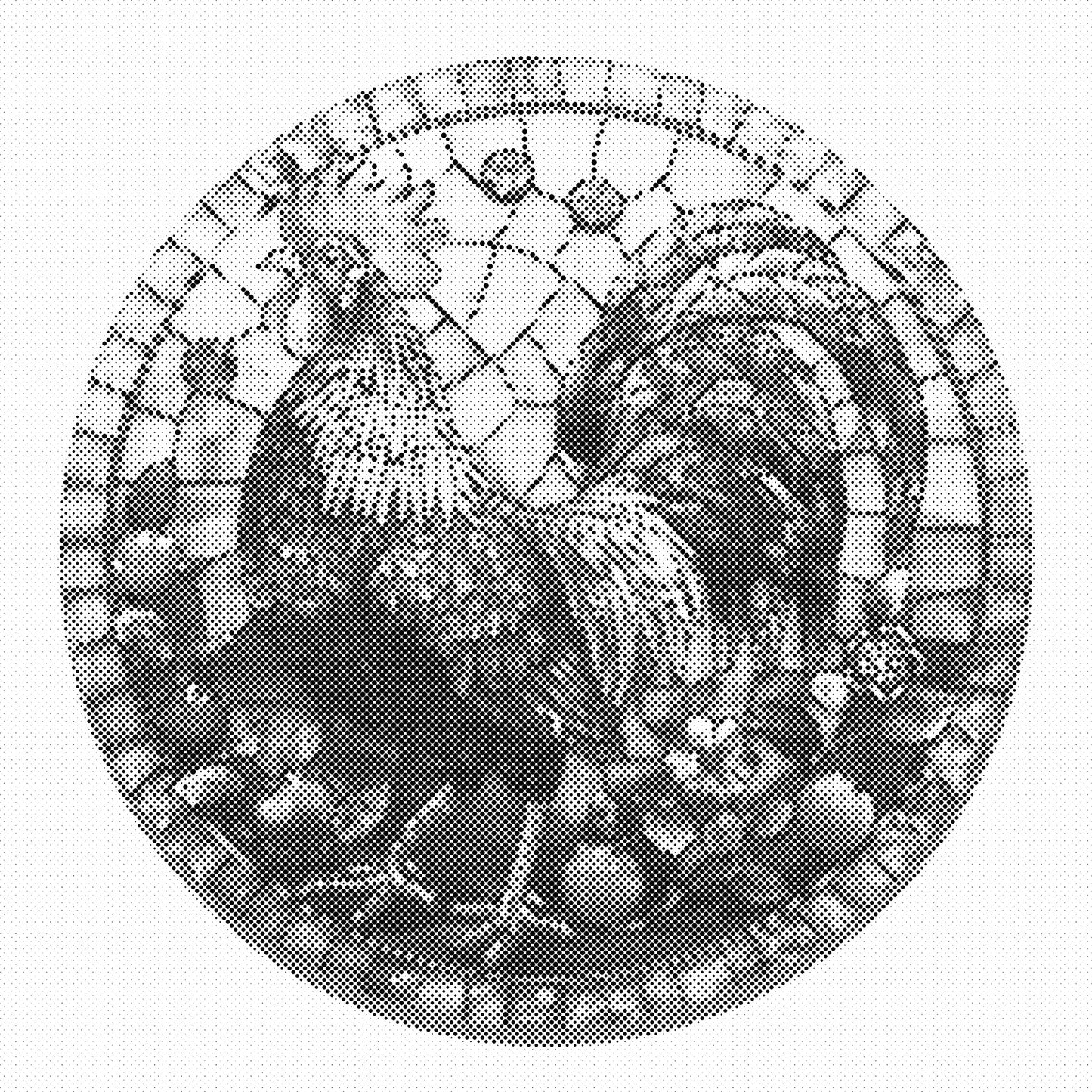 DOT Painting – Kippen & Hanen (40x40cm, 50x50cm of 60x60cm)