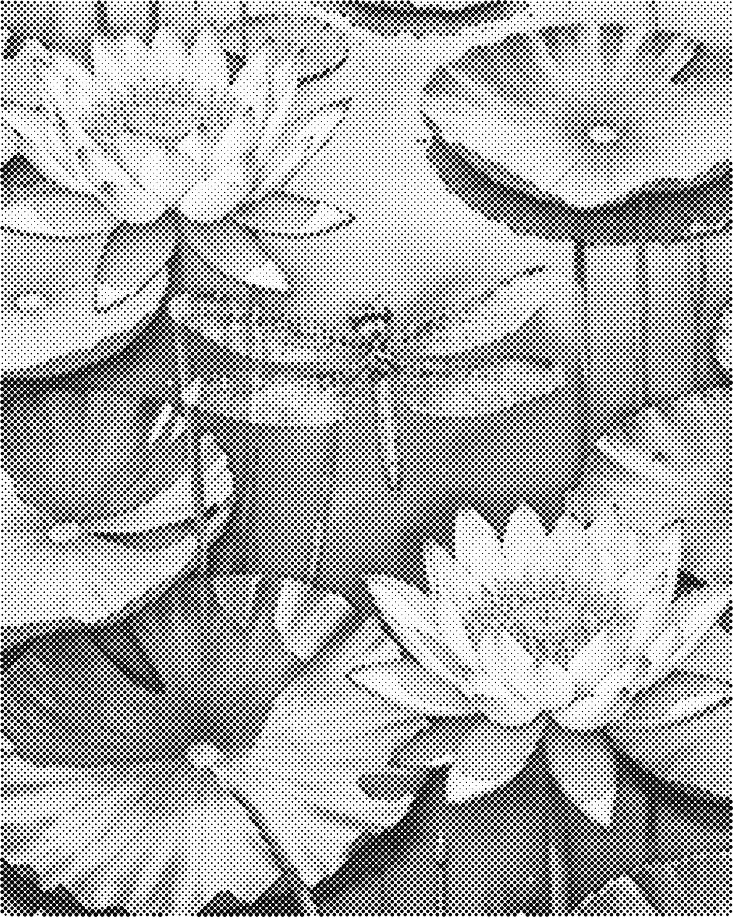 DOT Painting – Dieren op Canvas (40x50cm of 60x75cm) – Met of zonder stiften