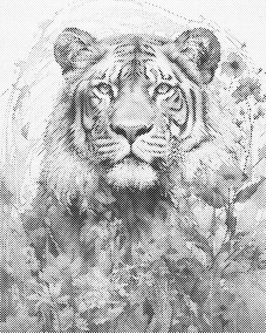 DOT Painting 40x50cm - Dierenmotief - Één Kleur Stippen - stippelschilderij - Tijger 03