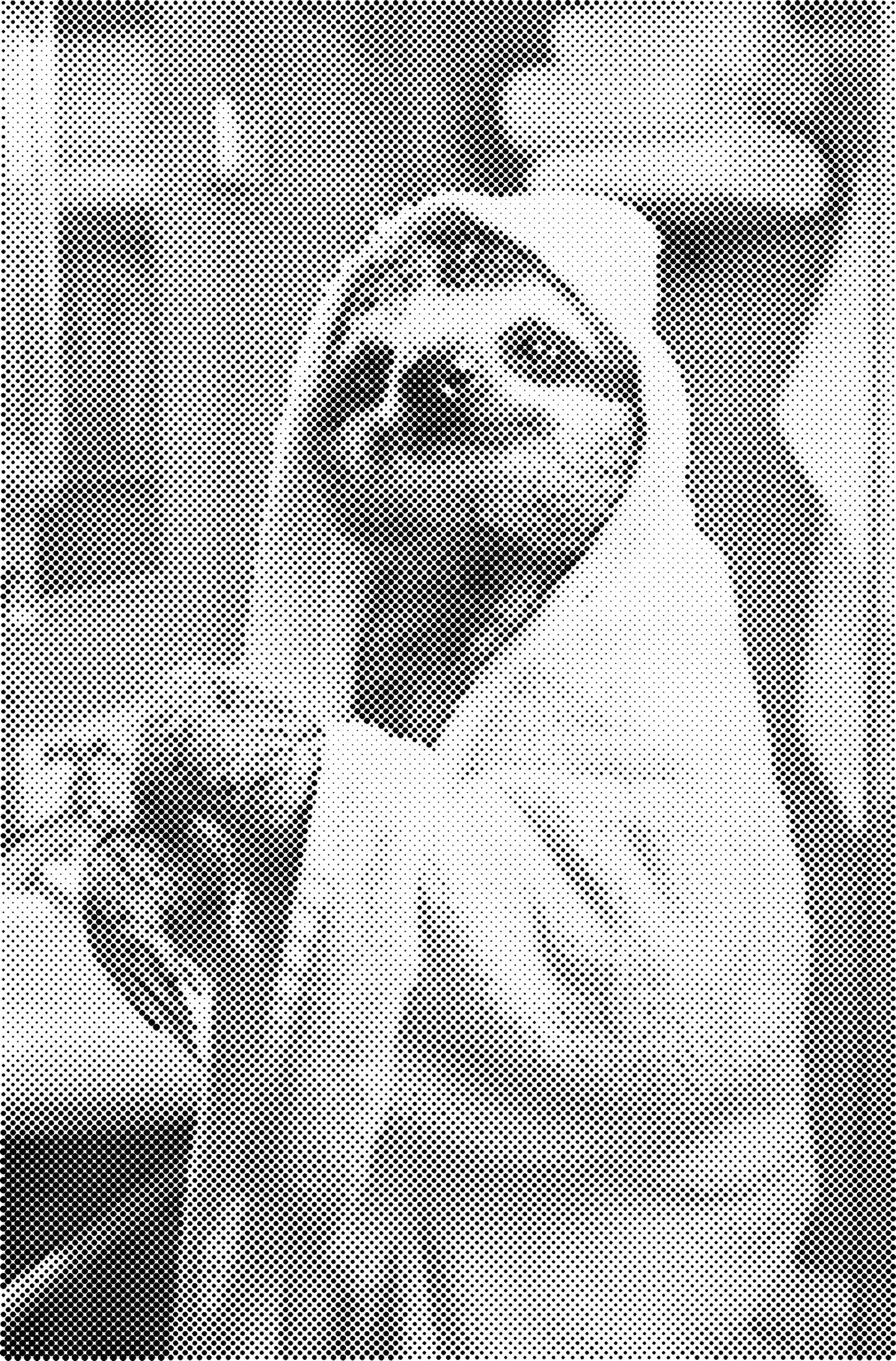 DOT Painting – Dieren in Bad (40x60cm / 50x75cm / 60x90cm)