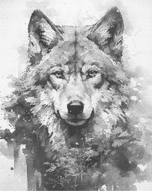 DOT Painting 40x50cm - Dierenmotief - Één Kleur Stippen - stippelschilderij - Wolf 02