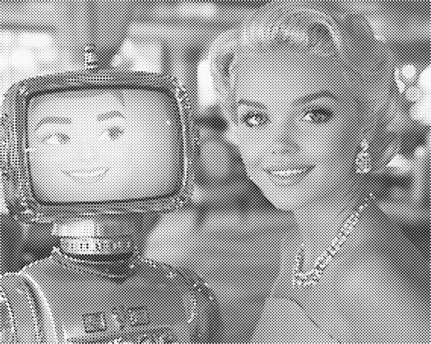 DOT Painting Portret – Stippenkunst op Canvas (40x50cm of 60x75cm)