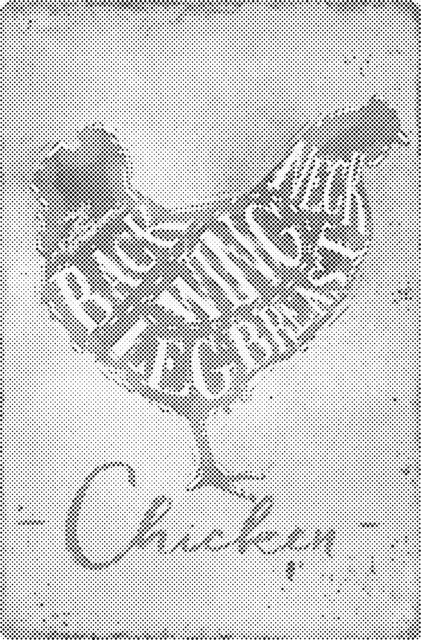 DOT Painting – Kippen & Hanen – 40x60cm t/m 60x90cm – Met of zonder stiften