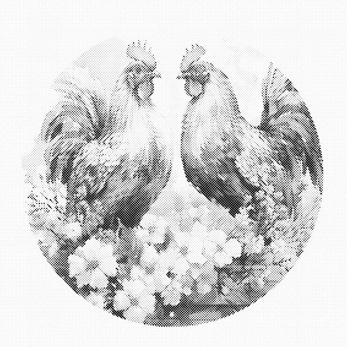 DOT Painting – Kippen & Hanen (40x40cm, 50x50cm of 60x60cm)