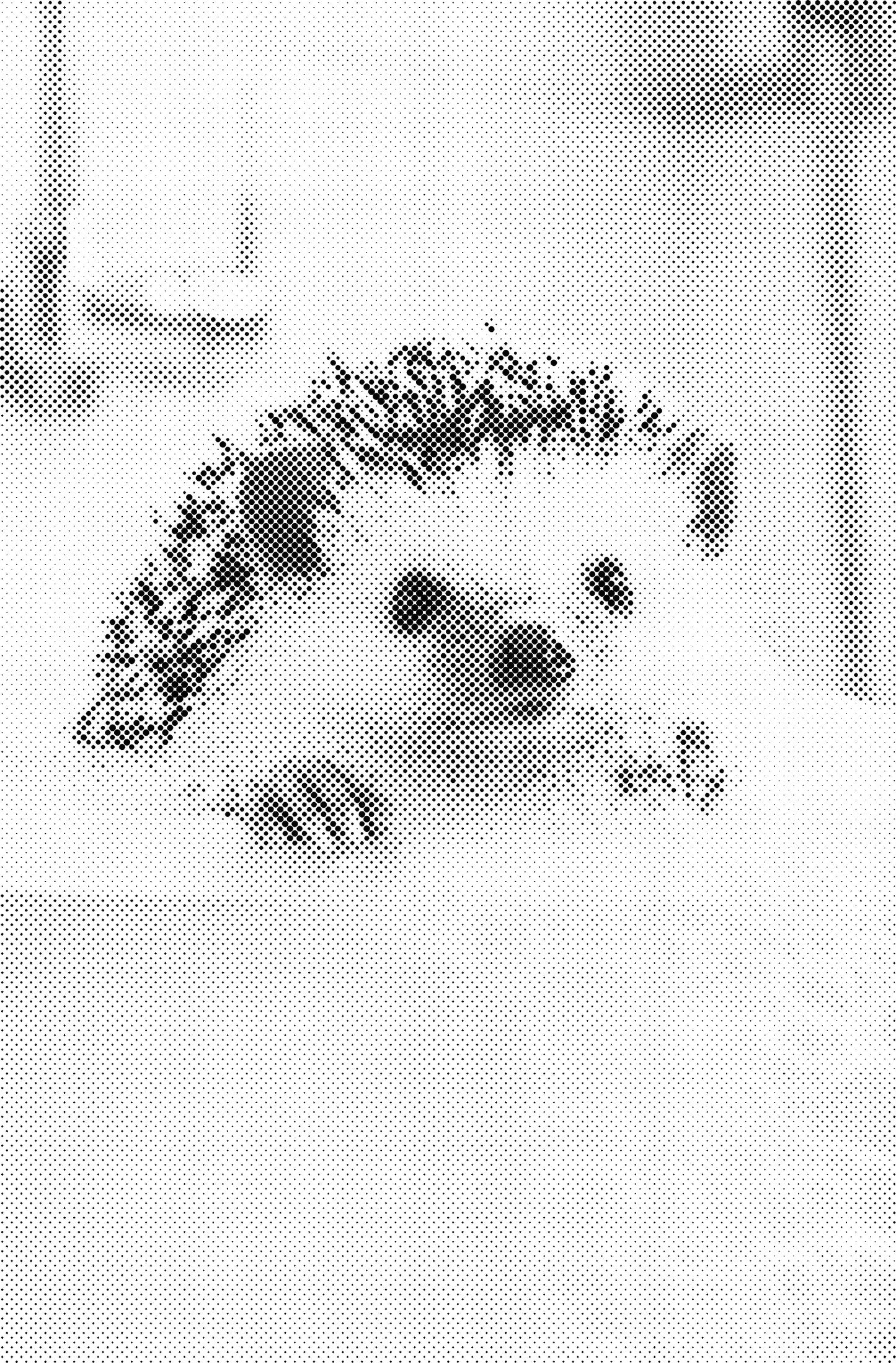 DOT Painting – Dieren in Bad (40x60cm / 50x75cm / 60x90cm)