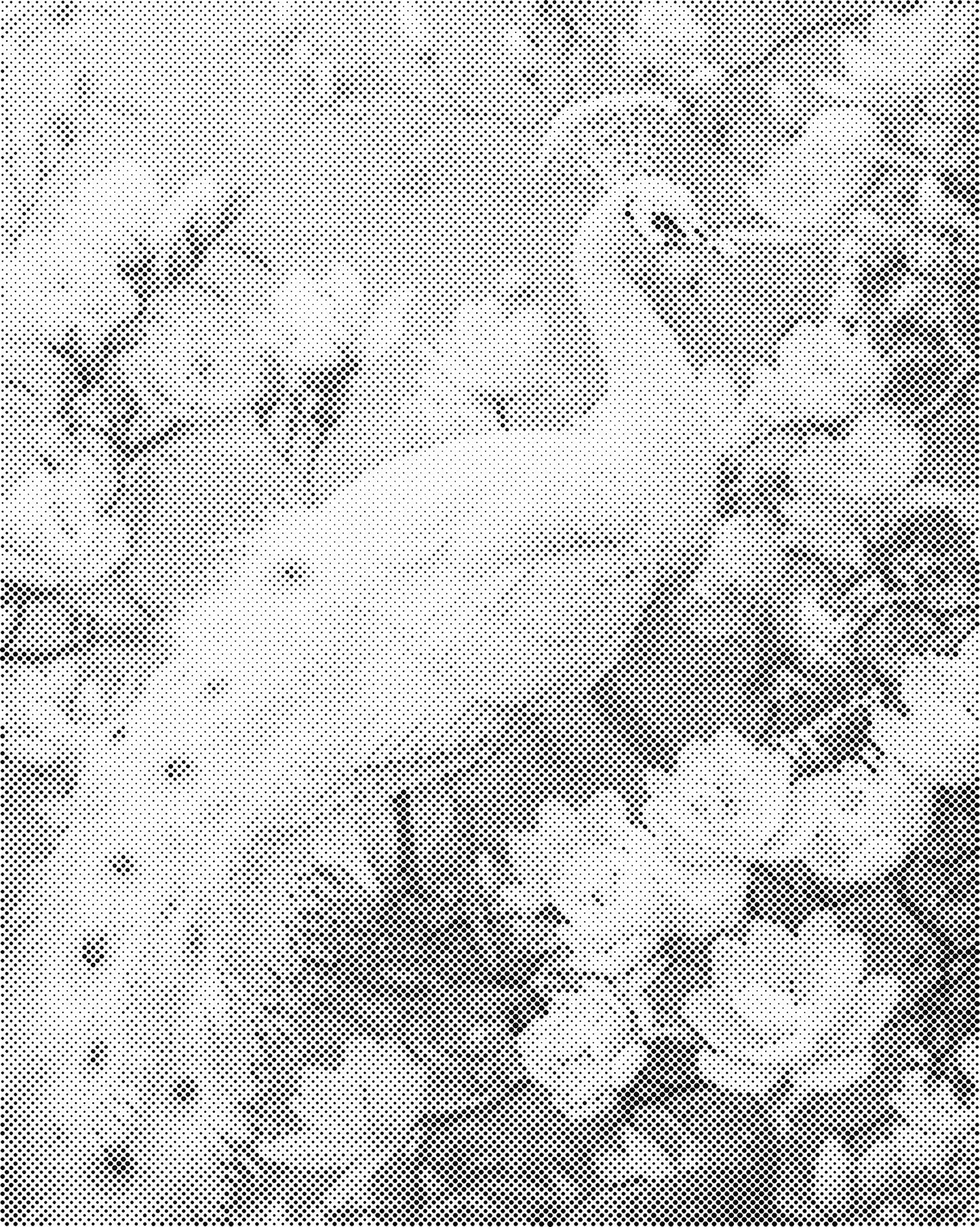 DOT Painting – Dieren op Canvas (40x50cm of 60x75cm) – Met of zonder stiften