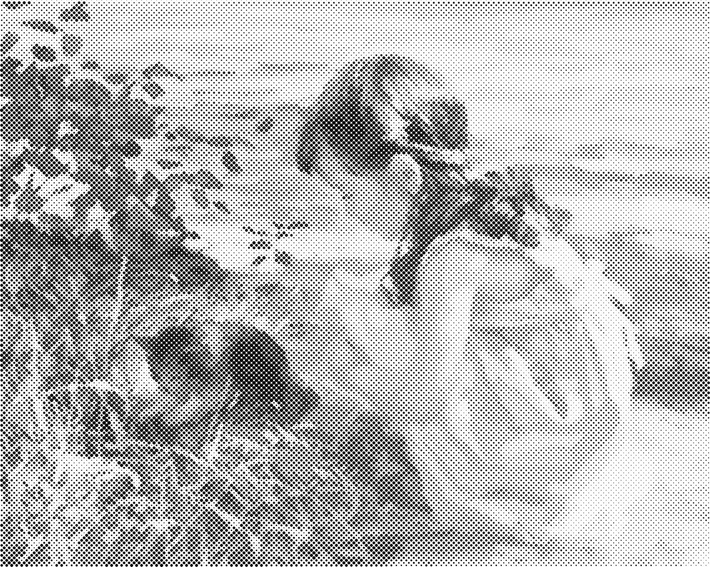 DOT Painting – Vrouwen | 40x50cm of 60x75cm