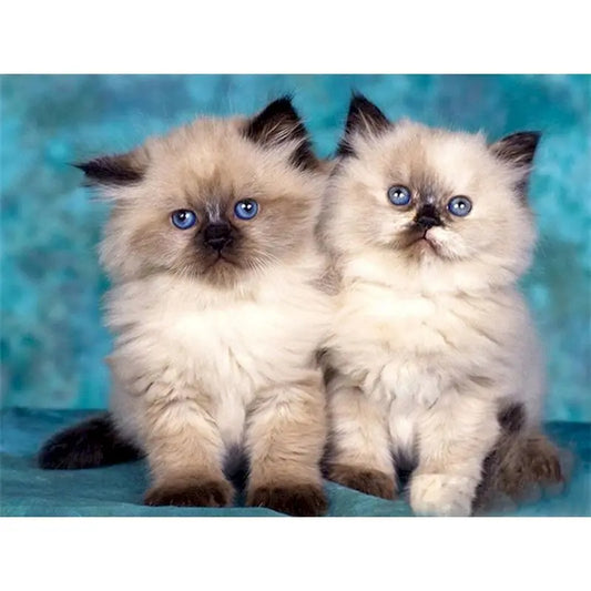 Diamond Painting Dieren - Kat met bloemen landschap wanddecoratie - DZDP32714