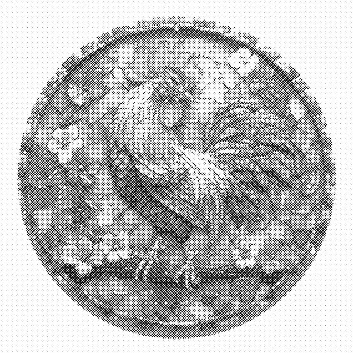 DOT Painting – Kippen & Hanen (40x40cm, 50x50cm of 60x60cm)