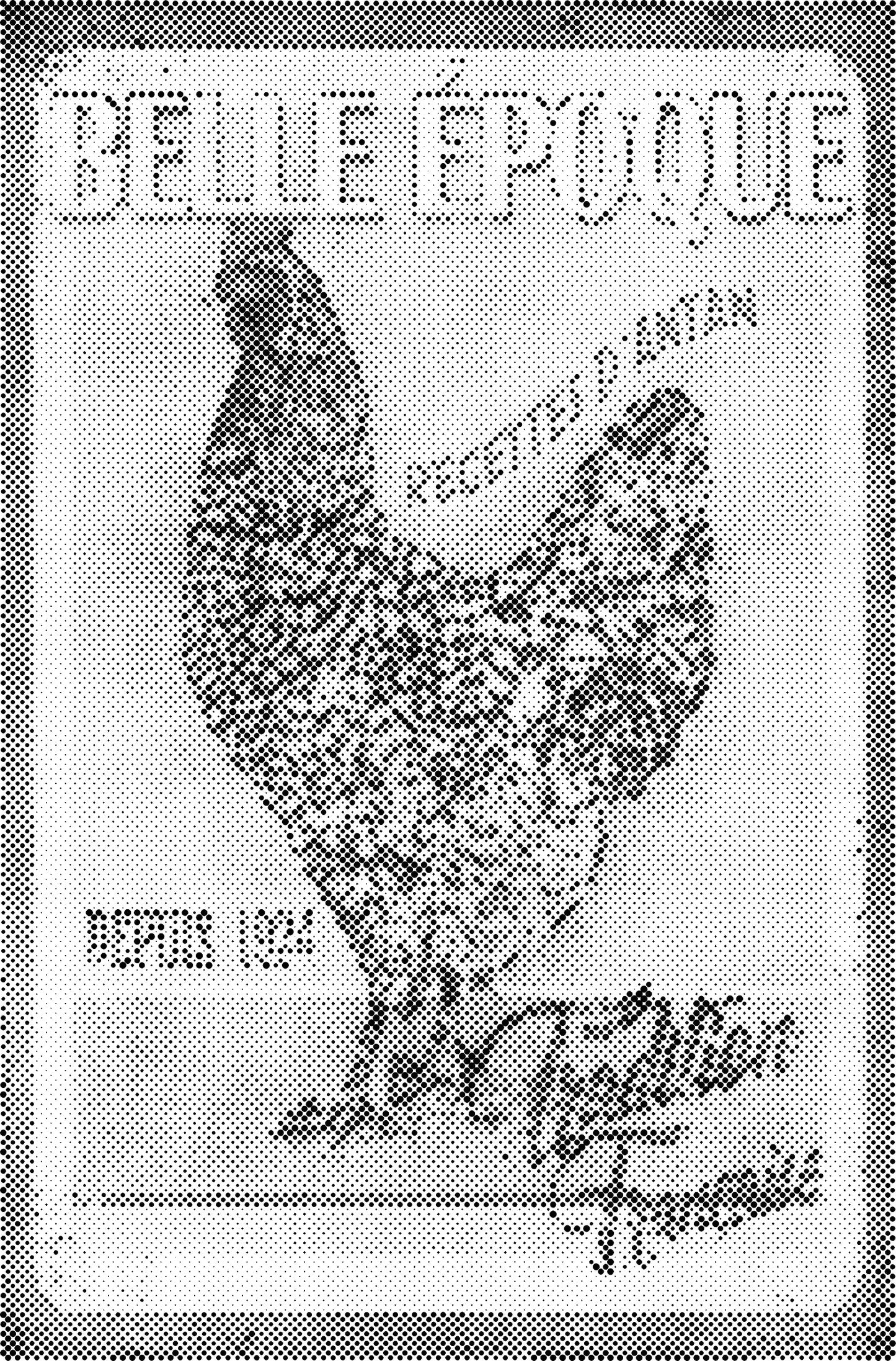 DOT Painting – Kippen & Hanen – 40x60cm t/m 60x90cm – Met of zonder stiften