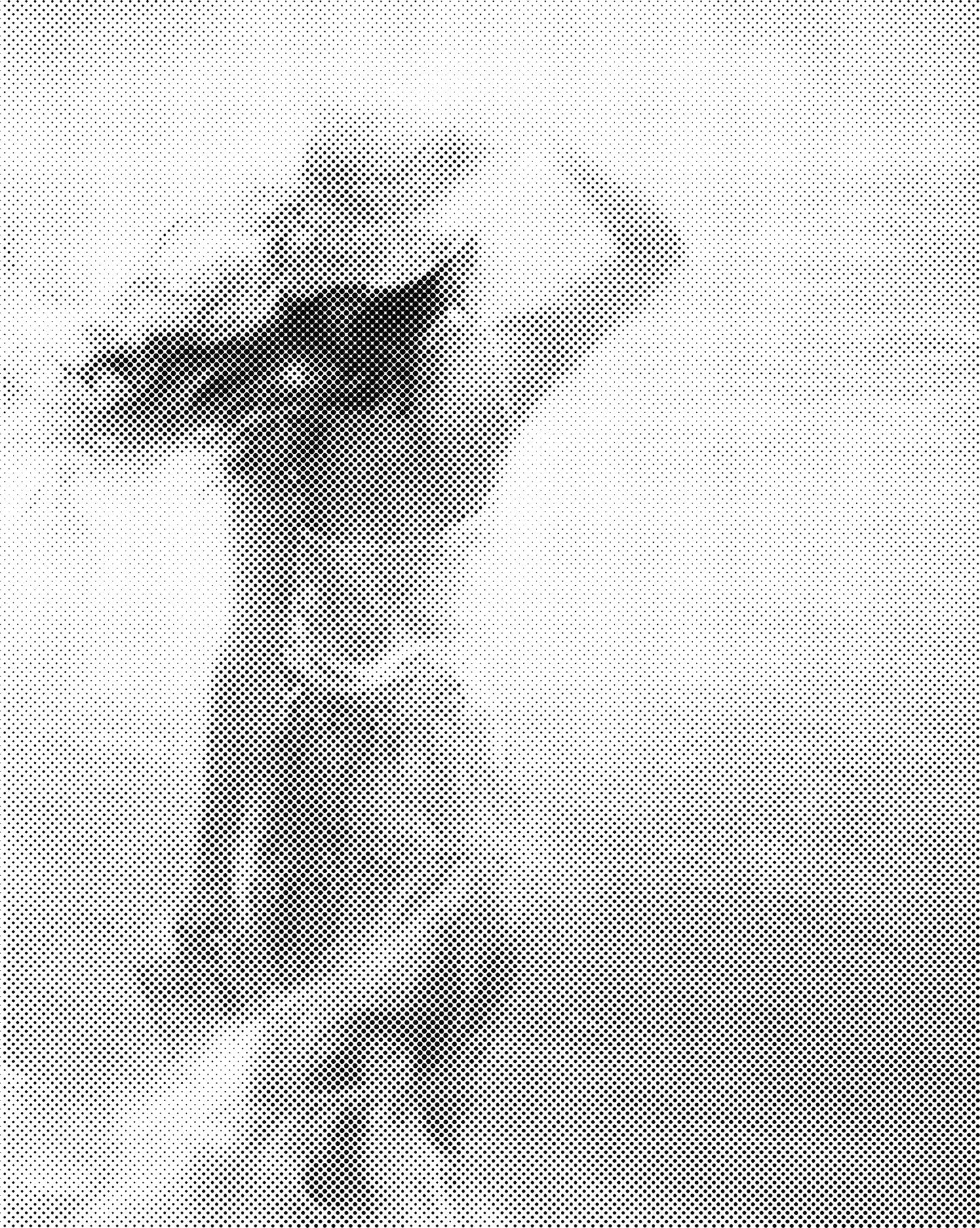 DOT Painting – Vrouwen | 40x50cm of 60x75cm